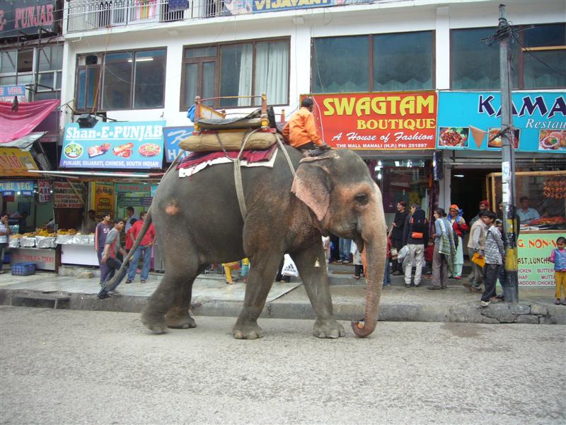 Travel - India - Himachal Pradesh - Manali